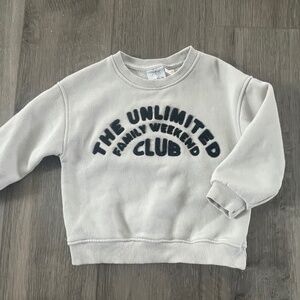 Zara Toddler Sweatshirt